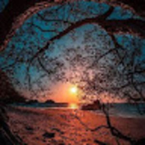 Meet your Posher, Ada